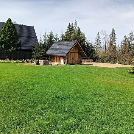 Apartament Nad Stawem 扎科帕内 外观 照片