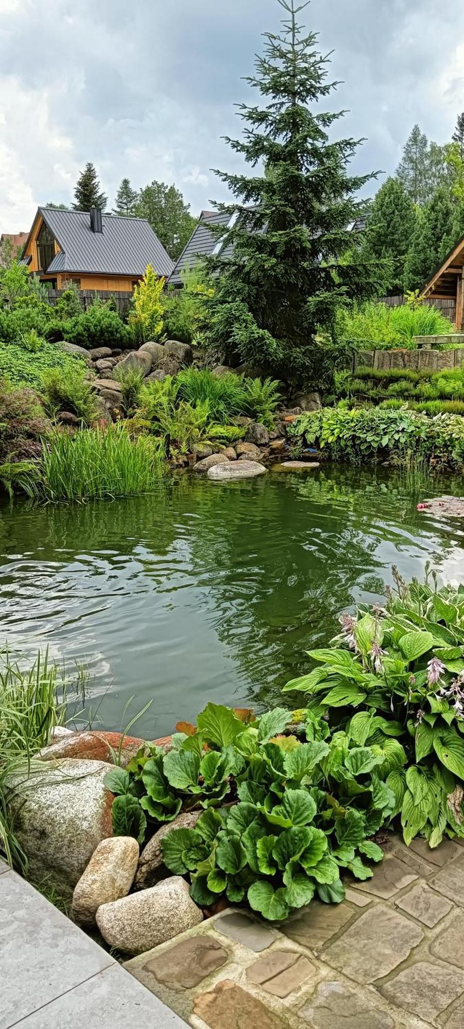 Apartament Nad Stawem 扎科帕内 外观 照片