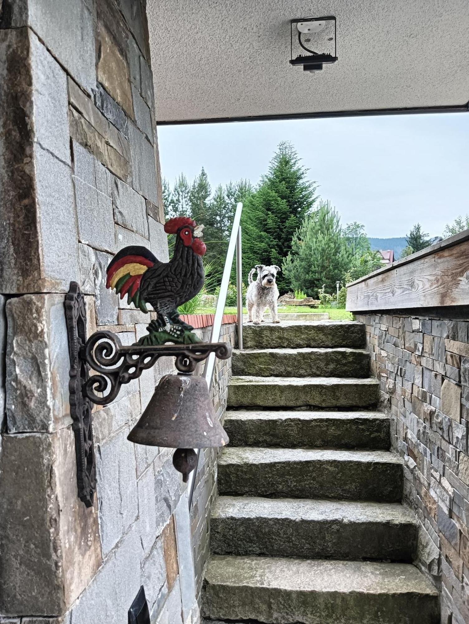 Apartament Nad Stawem 扎科帕内 外观 照片